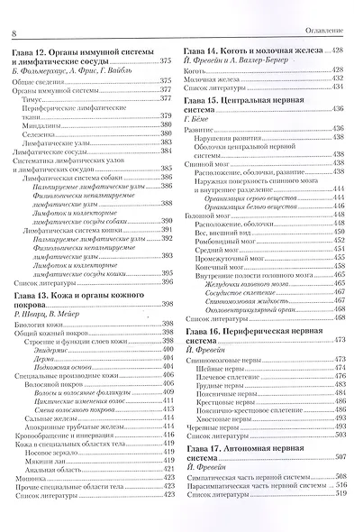 Анатомия собаки и кошки - фото 5
