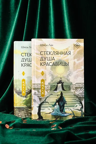 Стеклянная душа красавицы. Книга 2 - фото 11