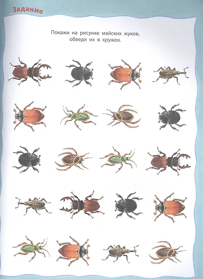 Кто живёт на лугу? - фото 2