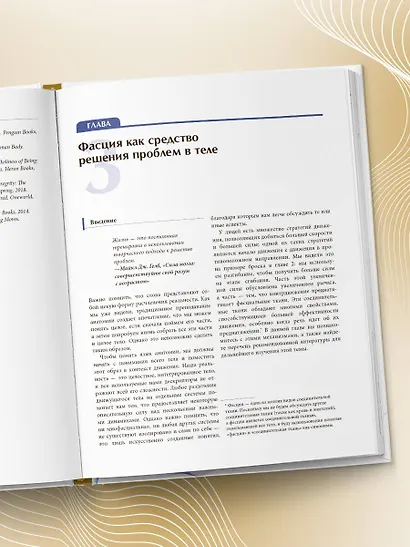 Функциональная анатомия движения. Руководство по анализу биомеханики и работе с миофасциальными меридианами - фото 9