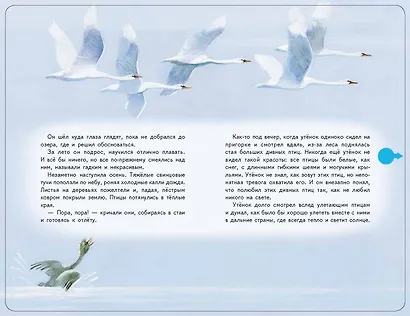 Гадкий утенок (+музыка А. Вивальди) - фото 9