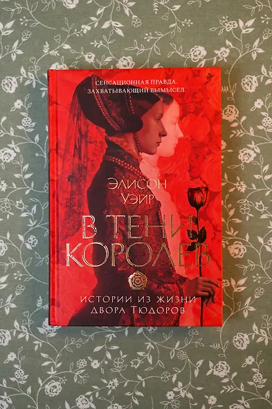 В тени королев: истории из жизни двора Тюдоров - фото 6