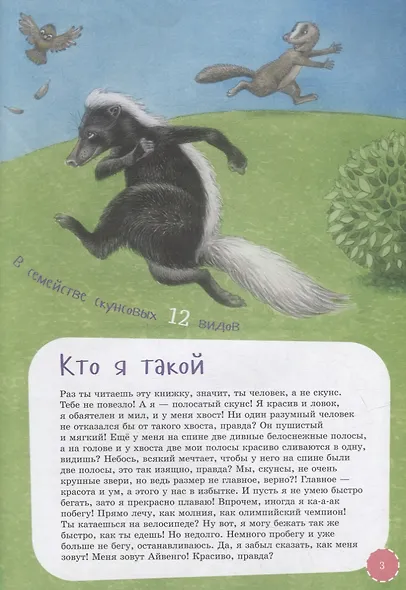 Я скунс - фото 4