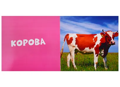 Первые слова. Животные. Фотокнига - фото 5