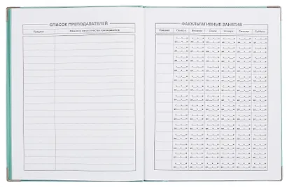 Дневник шк. "Мятный" кожзам, интегр.переплёт, тиснение фольгой, пантон, мет.уголки, одно ляссе, универс.шпаргалка - фото 4