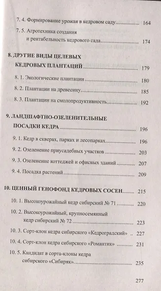 Кедр - царь сибирской тайги - фото 4
