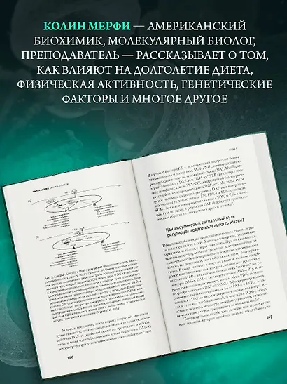 Как мы стареем - фото 4