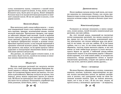 Чтение на лето. Переходим в 6-й класс - фото 4