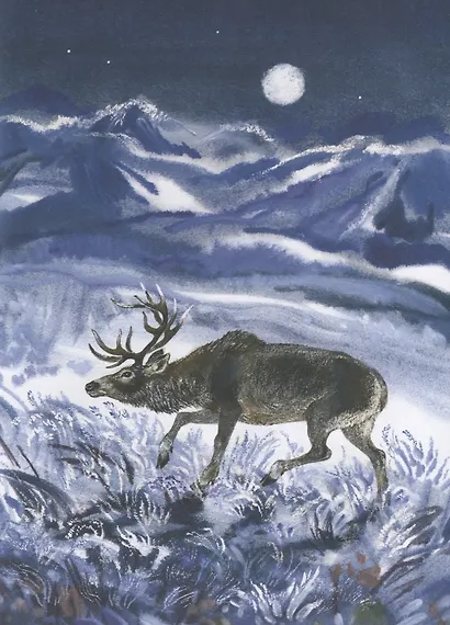 Ночные колокольчики - фото 4