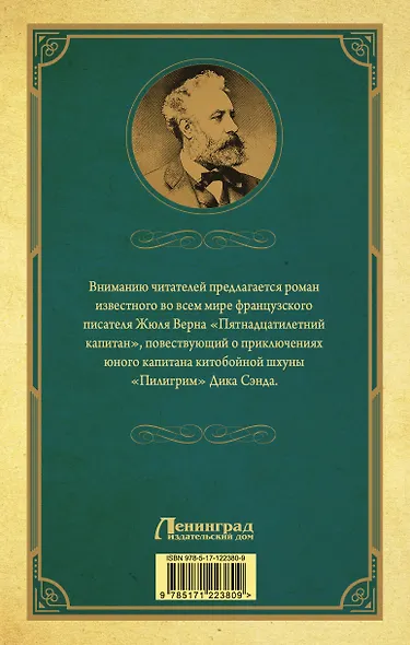Пятнадцатилетний капитан - фото 2