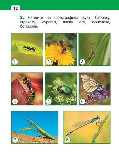 Окружающий мир. 1 класс. Учебное пособие. В двух частях. Часть 2 - фото 3