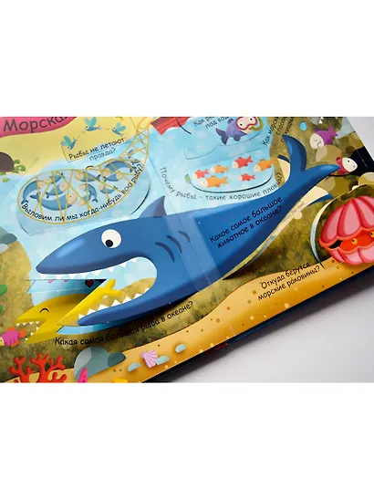 Волшебные окошки. Водный мир - фото 12