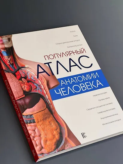 Популярный атлас анатомии человека - фото 3