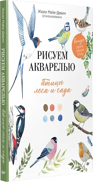 Рисуем акварелью: птицы леса и сада - фото 3