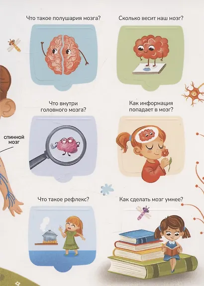 Знания в окошках. Наше тело - фото 6