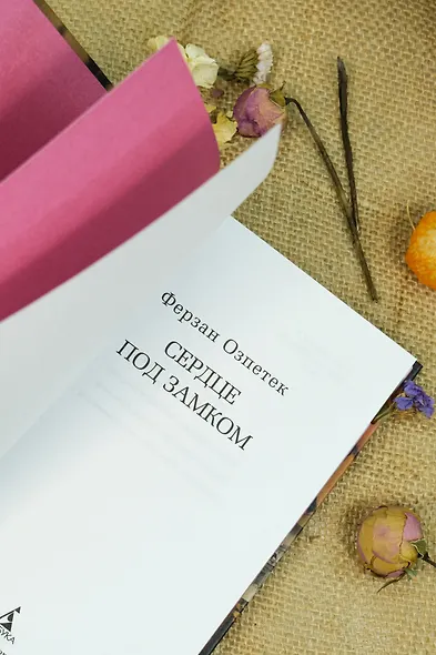 Сердце под замком - фото 11