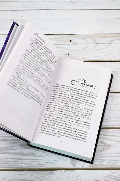 Бессмертный огонь - фото 7