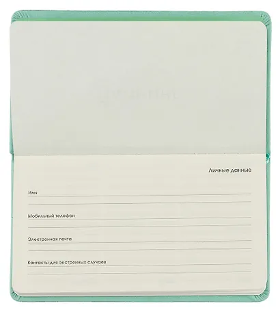 Планинг недат. 64л "Joy Book" ментоловый, карманный, иск.кожа 7Б, скругл.углы, тонир.блок, резинка, офсет, ляссе - фото 3