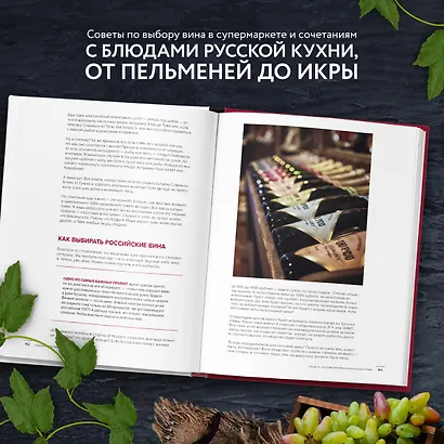 Вино России. История, география, выбор - фото 7