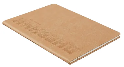 Дневник шк. "ПЕСОЧНЫЙ" пастел.кожзам, поролон, тиснение - фото 2