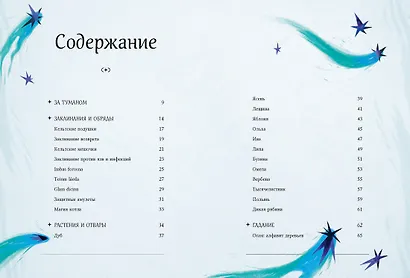 Мифы и легенды кельтов - фото 9