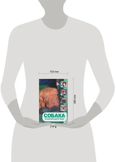 Собака. Практическое руководство по воспитанию и уходу - фото 2