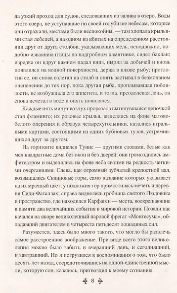 Женщина с бархаткой на шее. Замок Эпштейнов - фото 4