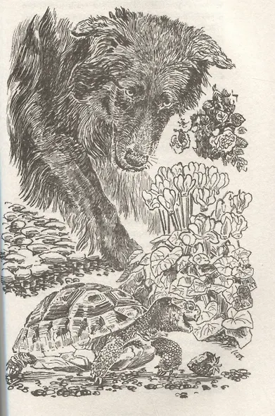 Моя семья и другие звери. Повесть - фото 5