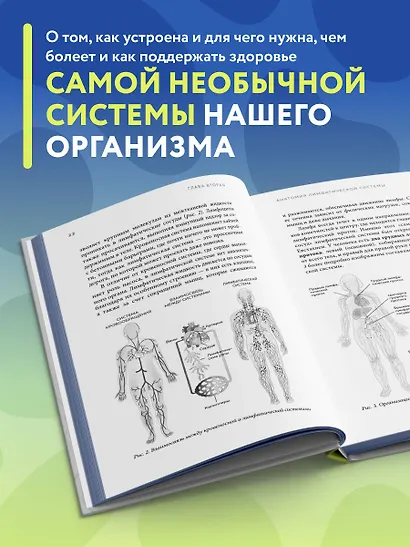 Все о лимфе. Как правильно заботиться о здоровье лимфатической системы и почему это важно (закрашенный обрез) - фото 5