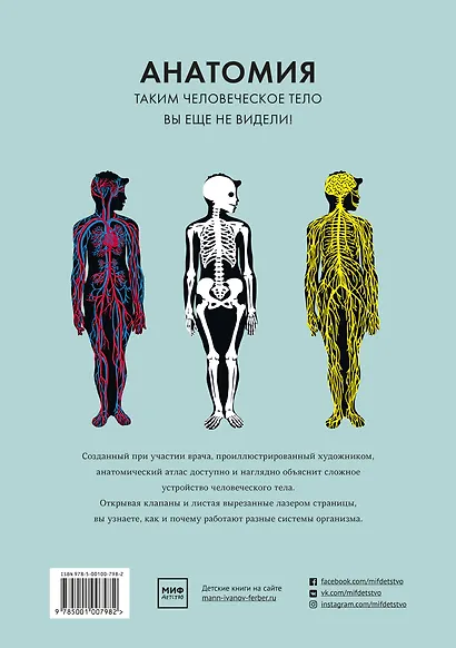 Анатомия - фото 2