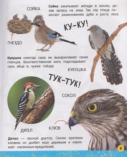 Моя большая книга о животных - фото 4