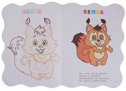 Книжка-раскраска В лесу (илл. Гарбуз) (мКн-раскраска) Панасюк (вырубка) - фото 4