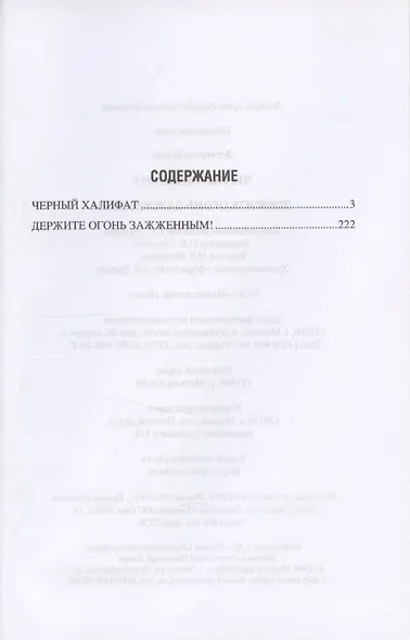 Черный халифат. Держите огонь зажженным  (16+) - фото 3