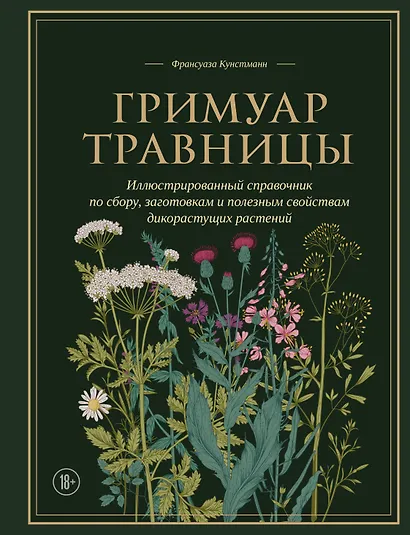 Гримуар травницы. Иллюстрированный справочник по сбору, заготовкам и полезным свойствам дикорастущих растений - фото 1