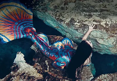 Книга Русалок. Волшебный путеводитель по страницам фолиантов, подводным глубинам и вершинам изящных искусств - фото 5