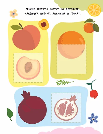 Фрукты и овощи - фото 9