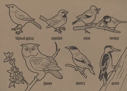 Раскраска В лесу - фото 5