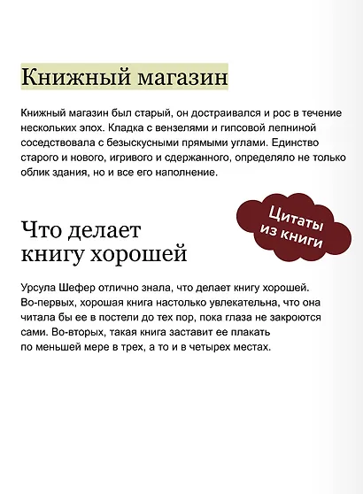 Служба доставки книг. Вечные истории - фото 7