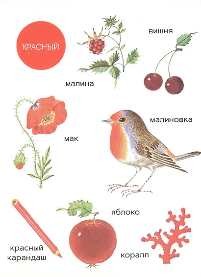 Моя первая книжка о цвете - фото 3