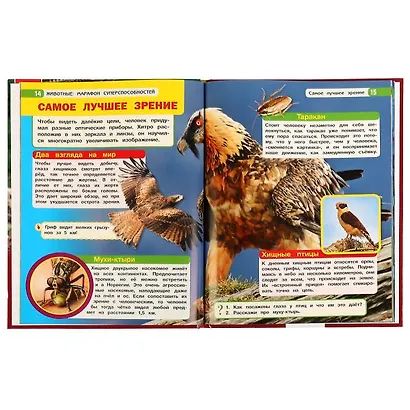 Животные: марафон суперспособностей - фото 2