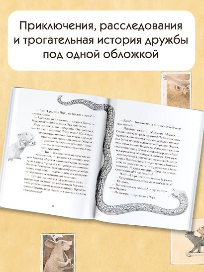 Кот Тихон и новые испытания - фото 5
