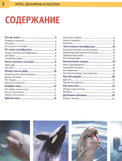 Киты, дельфины и косатки. Энциклопедия с развивающими заданиями - фото 2