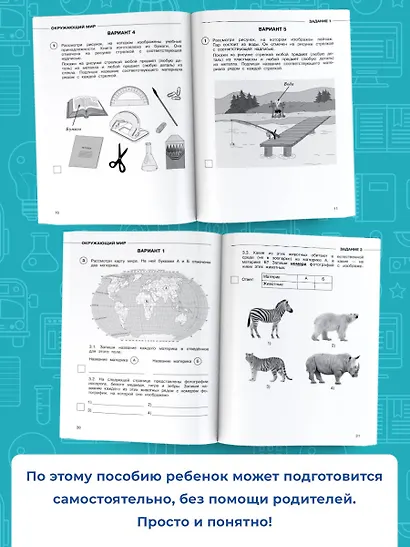 Окружающий мир. Суперсборник для подготовки к Всероссийским проверочным работам. 4 класс - фото 5