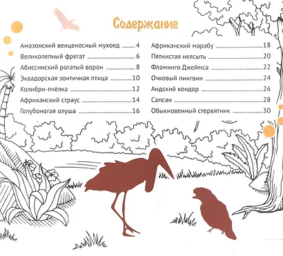 Экзотические птицы. Серия "Планета Животных" (Соц. значимая 2023) - фото 3