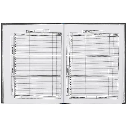 Дневник школьный Феникс+, "На скейте" - фото 2