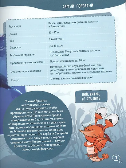 Клюворыл и другие киты - фото 3