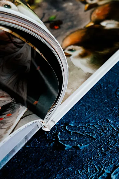 В поисках тени меж цветов. Иллюстрации Гу Гэли - фото 15