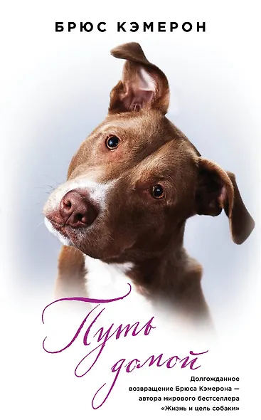 Путь домой - фото 1