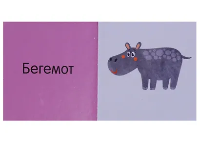 Познаем мир вместе Мои любимые животные. 15 книжек-кубиков - фото 3