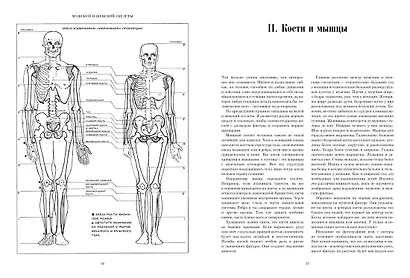 Рисование фигуры - фото 8